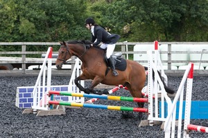 Class 3 -  Fences not above 2'3